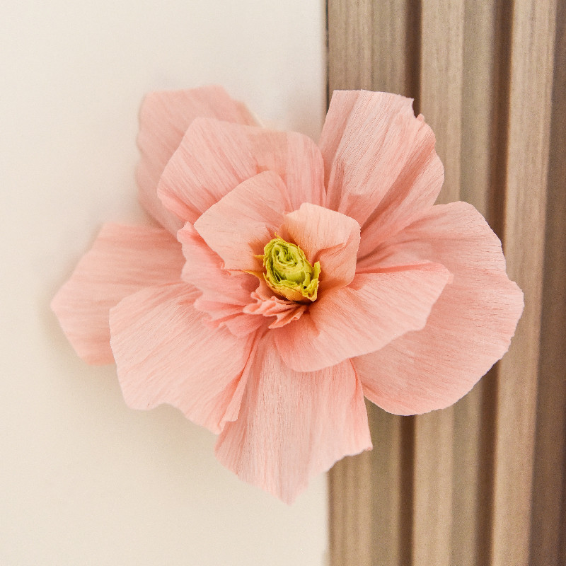 Peach Pink